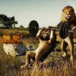 Funny-Lions-640×439