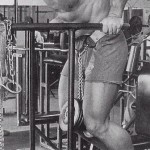 arnold-paralel-bar-weighted-dips