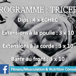 triceps 2